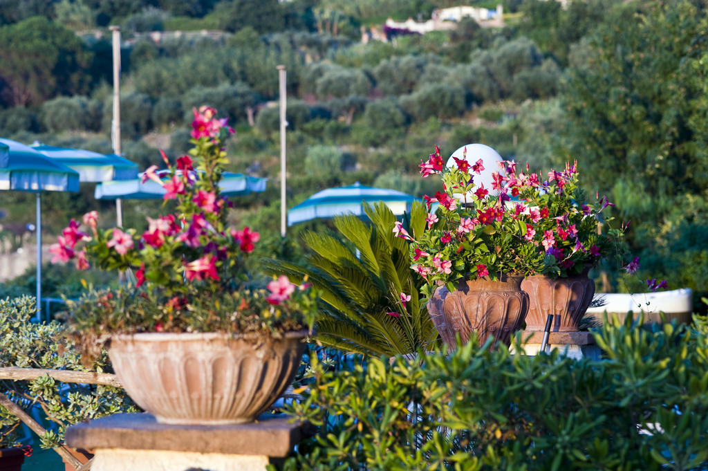 Hotel Poggio Del Sole Forio  Exterior photo